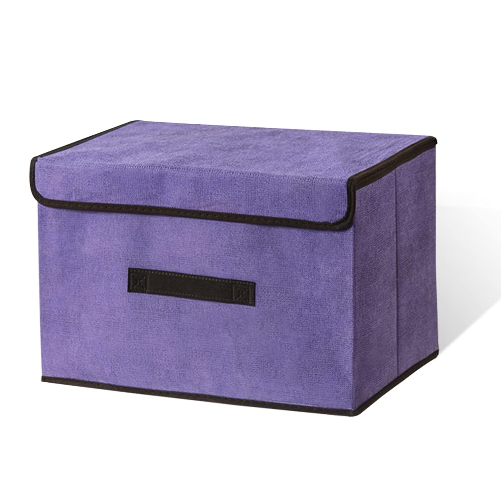 LELE LIFE Foldable Storage Box with Dustproof Lid and Handle, Foldable Storage Bin Collapsible Storage Organizer for Closet, Bed