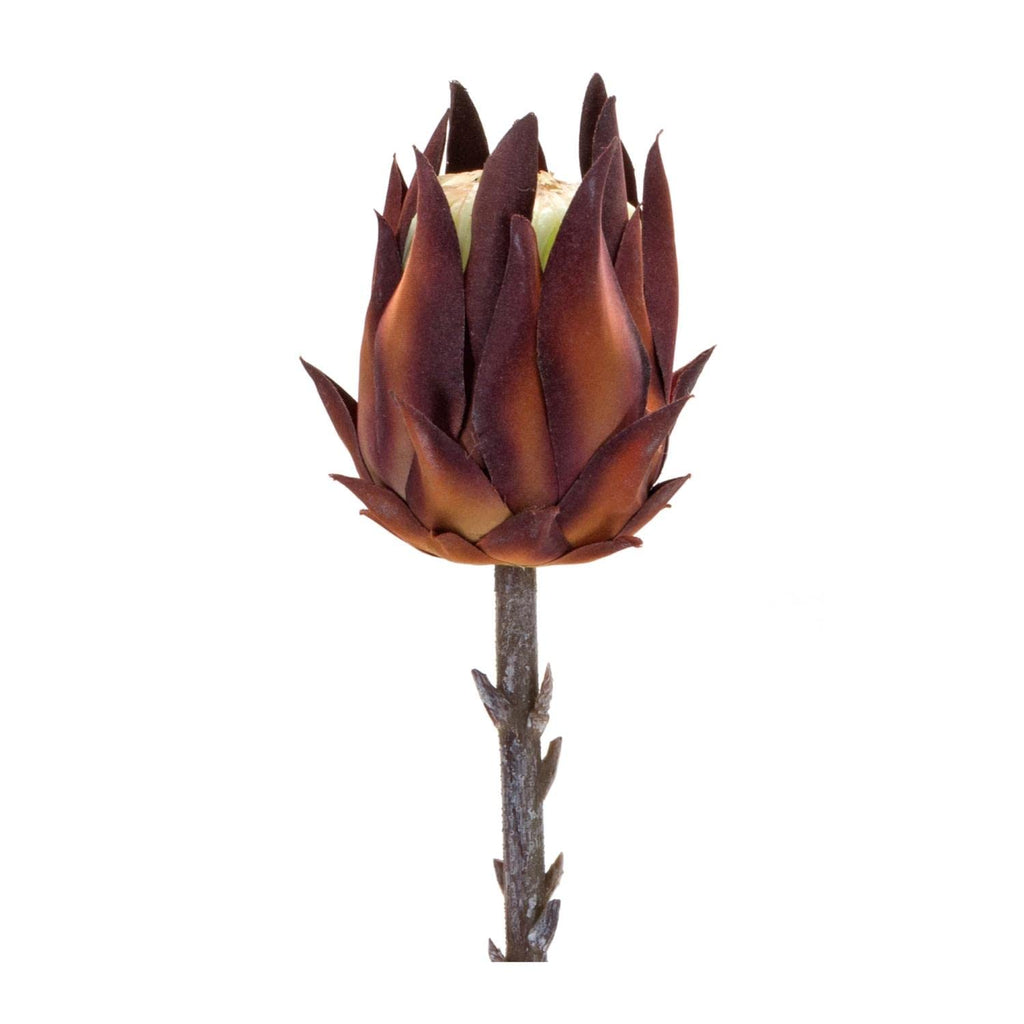 Protea Stem (Set Of 6)