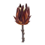 Protea Stem (Set Of 6)