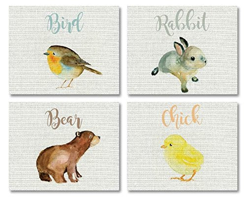 Baby Animal Collection (Set of Four 11x14 Wall Art Prints), Nursery Decor, Kids Room Decor, Gender Neutral Nursery Decor, Baby 