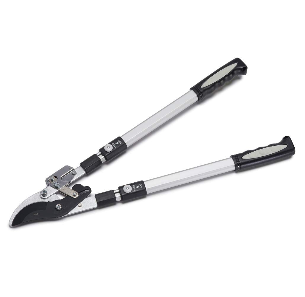 Kings County Tools Double Ratcheting Bypass Lopper | Cuts Green Wood | Extendable 26'-40' Long Handles | Trim Tree Or Bush Bra