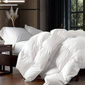 Luxurious Queen Size Goose Down Fiber Waterfowl Feather Fiber Comforter Duvet, 100% Egyptian Cotton Cover, 48 Oz. Fill Weight, B