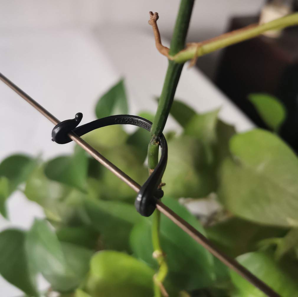 Susub 200Pcs Grape Trellis Kiwi Grape Stem Vine Clips Grape Ties Garden Plant Support Clips Holder Fruit Buckles Hooks Fixed For