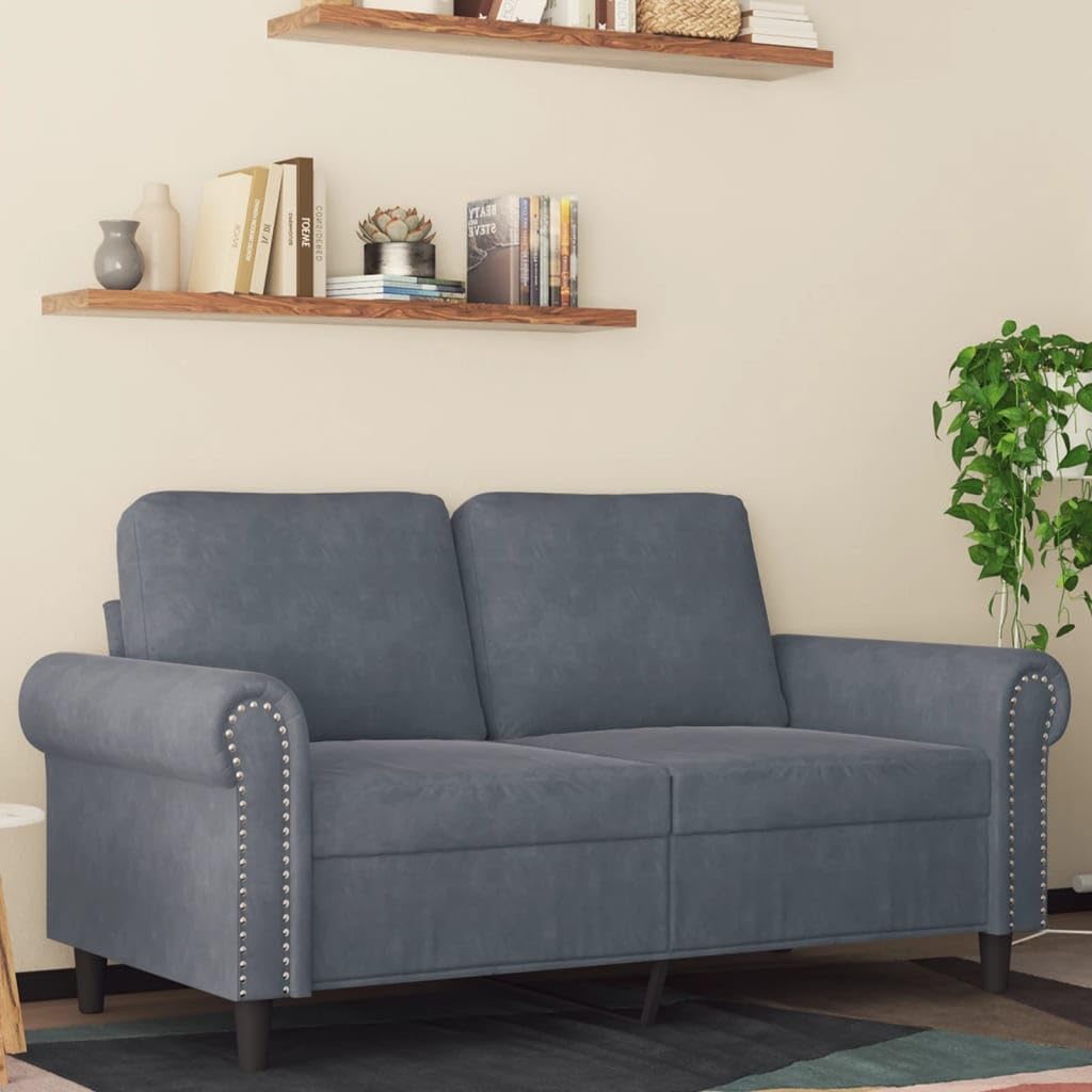 vidaXL Modern 2-Seater Sofa - Dark Gray Plush Velvet Upholstery - Elegant and Comfortable Couch with Sturdy Metal Frame for Living Room, Lounge Area or Office