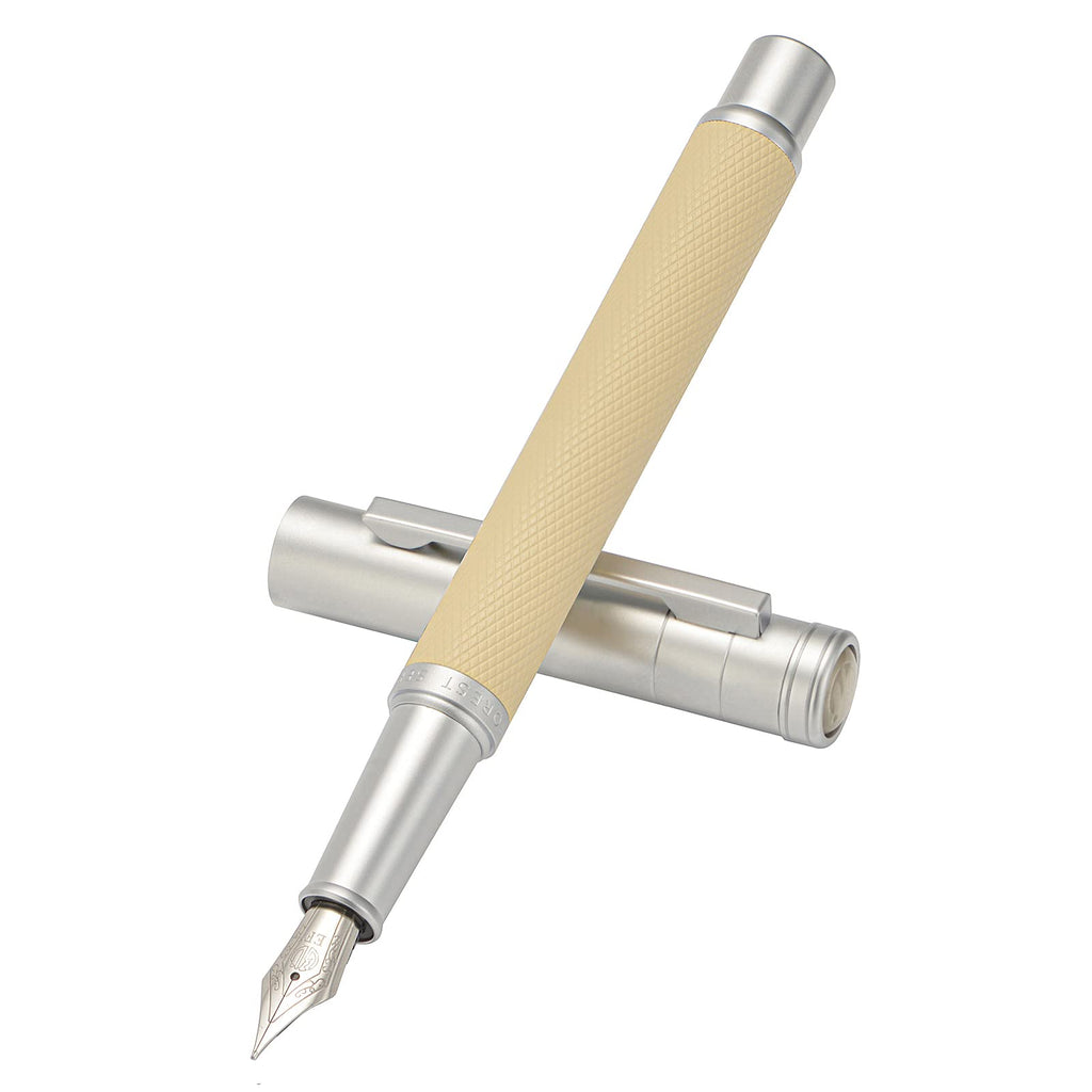 Silver Birch Forest Aluminum Fountain Pen Extra Fine Nib With Converter And Metal Case Set By Asvine