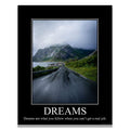 Dreams Demotivational Poster Snarky Ironic Funny Sarcastic Office Wall Decor Art Print 11x14 Inches Unframed