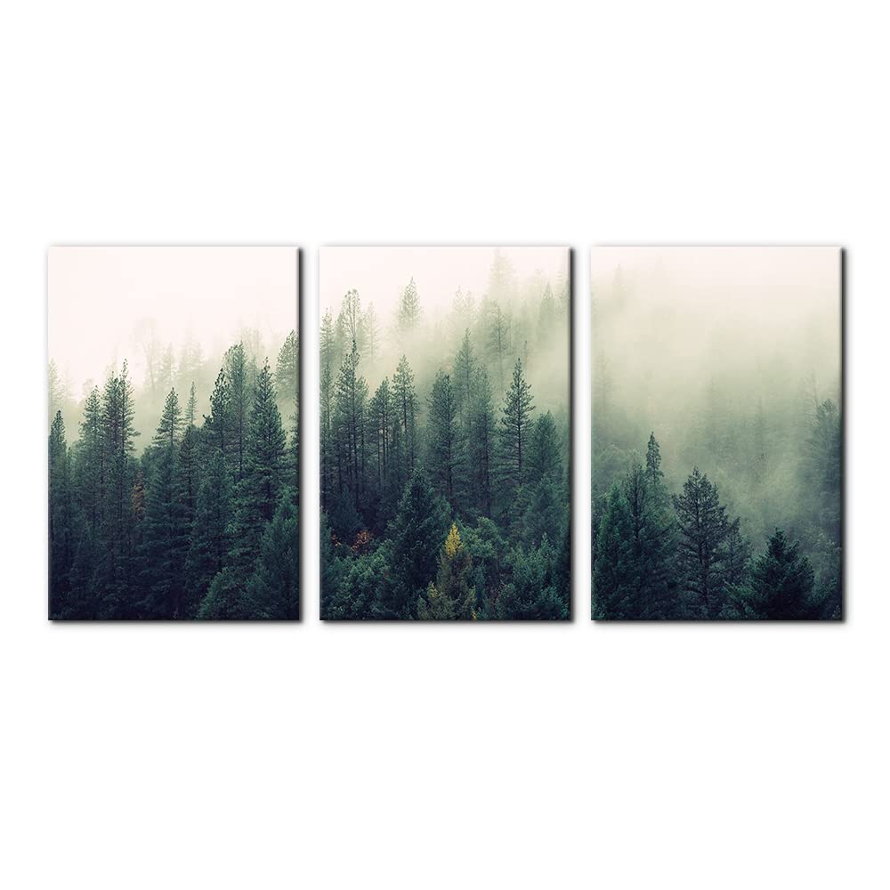 Pacimo Canvas Print Wall Art Set Aerial View of Pine Trees in Mist Nature Wilderness Photography Realism Rustic Scenic Modern Ar