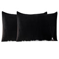Uwkcy Velvet King Pillow Cases Pillowcases With Hidden Zipper, Soft And Cozy, Zippered Flannel Pillow Covers(Black, 20X36,Set Of