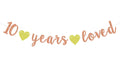 FestikoRose Gold Glitter 10 Years Loved Banner  10th Birthday/Anniversaray Party Garlands  Cheers to 10 Years Anniversaray Par
