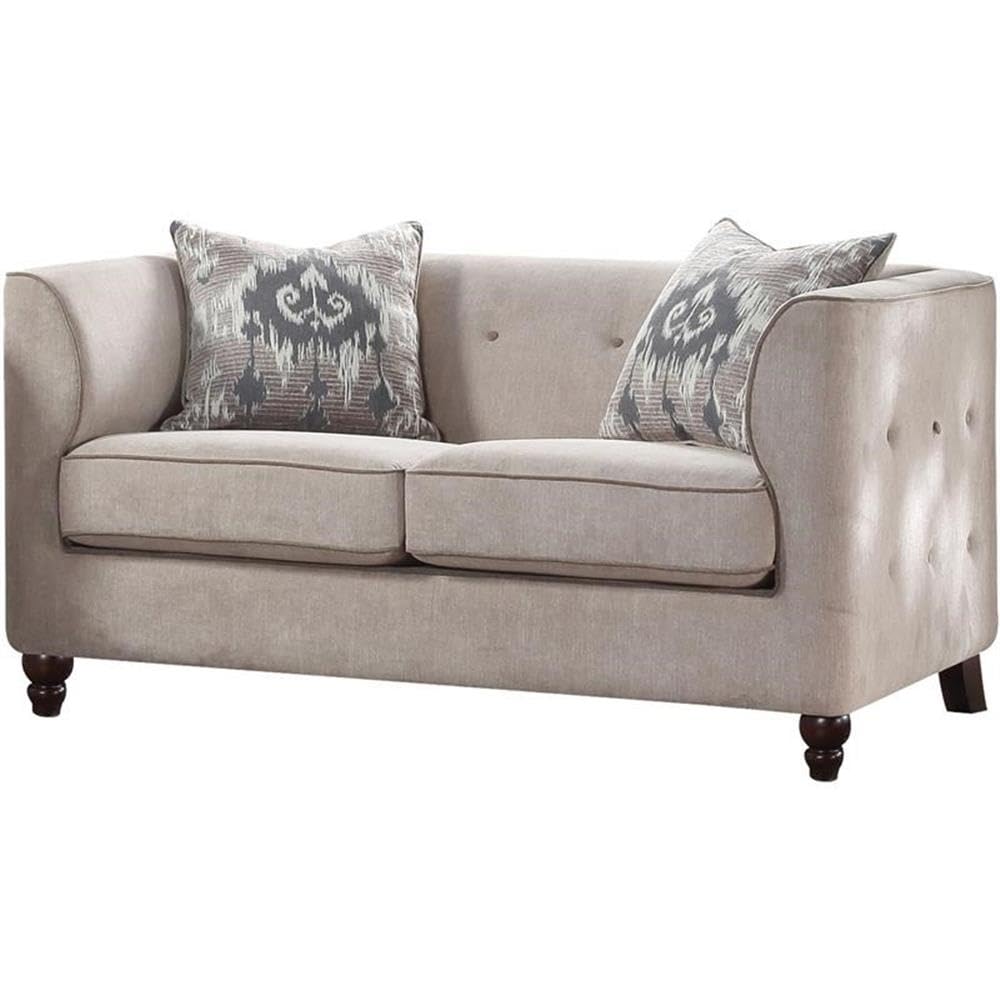 Acme Cyndi Loveseat with 2 Pillows in Tan Velvet