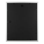 Golden State Art, 16X20 Picture Frame, Poster Frame In Silver, Display 11X14 With Mat Or 16X20 Without Mat, 2 Pack