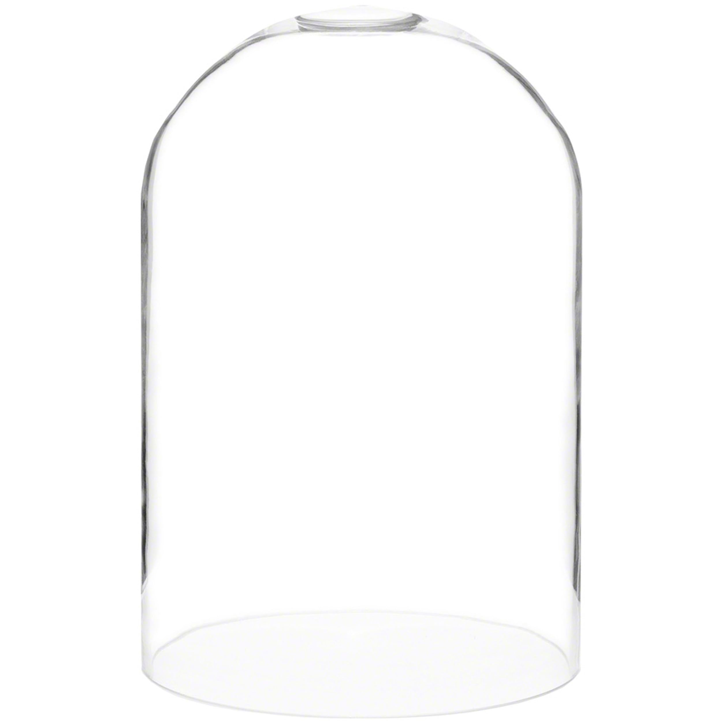 Plymor 8 x 12 Glass Display Dome Cloche (no Base)
