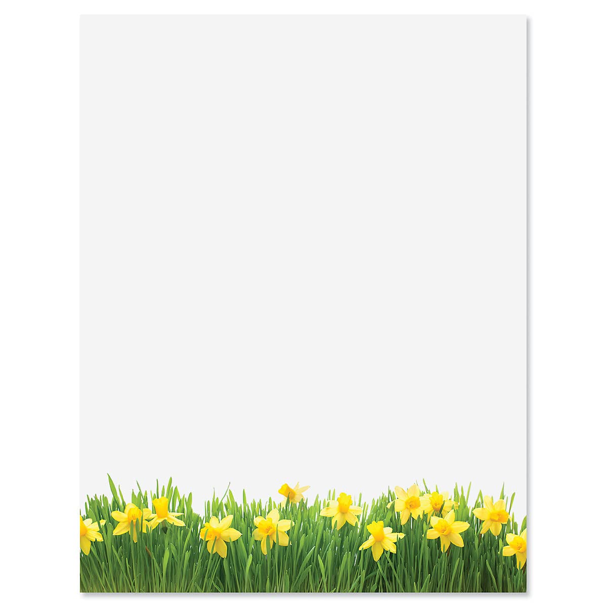 Current Daffodil Floral Letter Paper - Spring Stationery Papers With Decorative Daffodil Border, Printable Holiday, Wedding & Br
