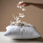 Miulee 30X30 Pillow Inserts, Pack Of 2 Down Feather Throw Pillow Inserts, Decorative Fluffy Throw Pillows Cotton Fabric For Living Room Sofa Bed