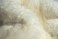 HomeRoots New Zealand Sheepskin, Microsuede 2' x 5' Natural Rectangular Sheepskin Area Rug