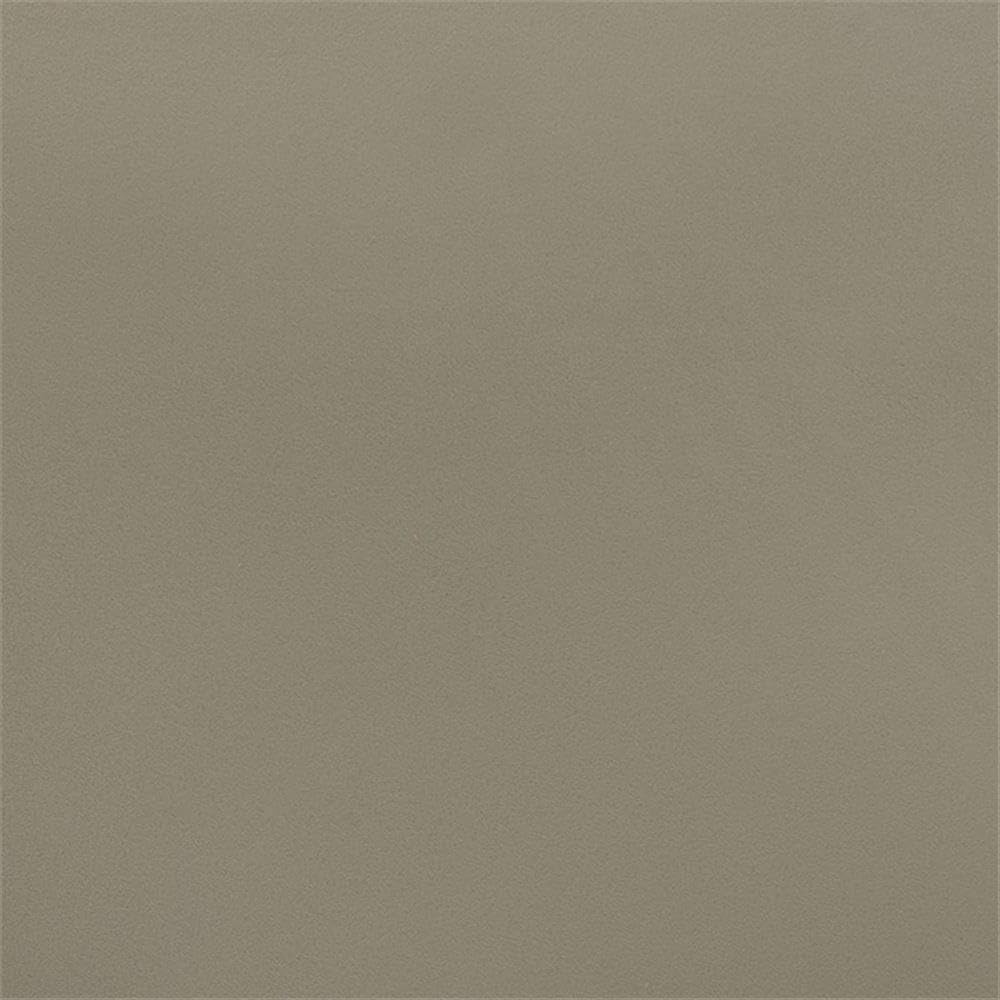 Baxton Studio Warner Modern and Contemporary Beige Plastic 4-Piece Dining Chair Set