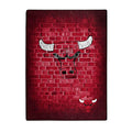 Northwest Nba Chicago Bulls Team Colors One Size 60X80 Raschel Street Design