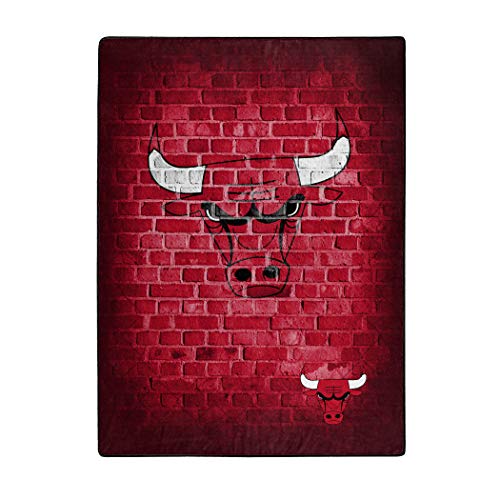 Northwest Nba Chicago Bulls Team Colors One Size 60X80 Raschel Street Design