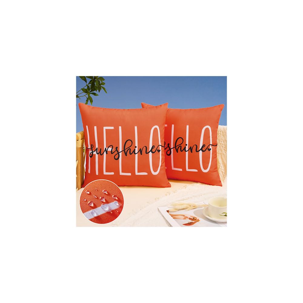 Dfxsz Outdoor Pillow Covers 16X16 Inch Set Of 2 Hello Sunshine Decor Dirty Orange Waterproof Throw Pillow Covers Summer Outdoor