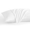 Ntbay Standard Pillow Cases Set Of 2, 2 Pack Brushed Microfiber 20X26 Pillow Cases, Soft, Wrinkle, Fade, Stain Resistant White P