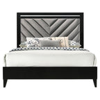 Acme Chelsie Wooden Queen Bed with Velvet Headboard in Gray and Black