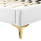 Modway Alexandria Tufted Performance Velvet Platform Bed with Gold Legs, Twin, White