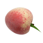 Happy Trees Decorative Lifelike Realistic Artificial Fake Fruit Decor (Set Of 12) (Multiple Fruits)