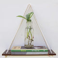 Vah Wooden 1 Layer With White Jute Rope Wall Floating Laminated Wall Decor Wall Shelf