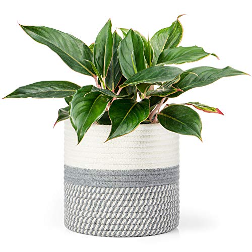 Dahey Jute Cotton Rope Plant Basket Mini Woven Storage Basket For Up To 7' Planter, 7.5' X 8' Decorative Flower Pot Cover Clo