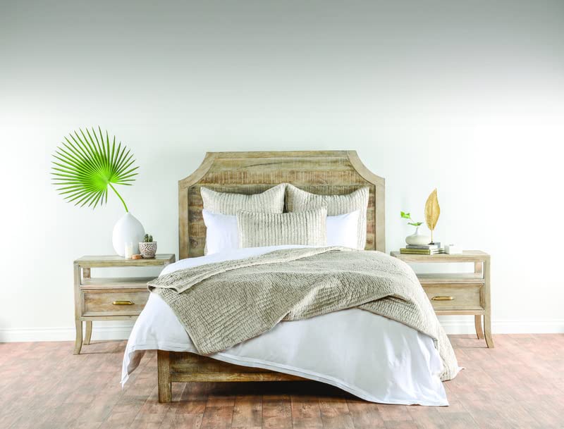 Kosas Home Dimitry 20X36 Velvet And Solid Cotton King Sham In Pebble Beige