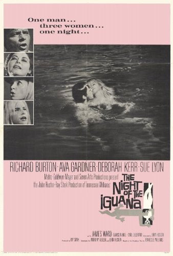 27 x 40 The Night of the Iguana Movie Poster