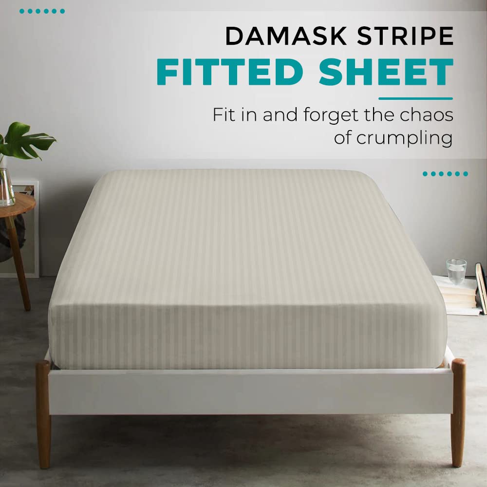Feather & Stitch 100% Cotton 1 Piece Damask Stripe Full Fitted Sheet 500 Thread Count Beige 18 Inch Extra Deep Pocket Luxury Sateen Weave Stretchable Boxer Elastic Fits Mattress Perfectly