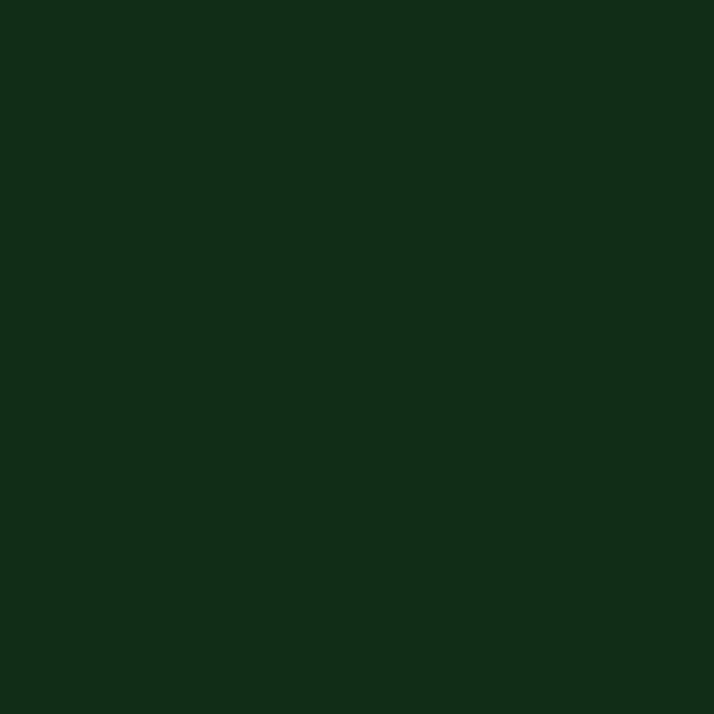 Blazing Needles Twill Papasan Cushion, 48" x 6" x 48", Forest Green