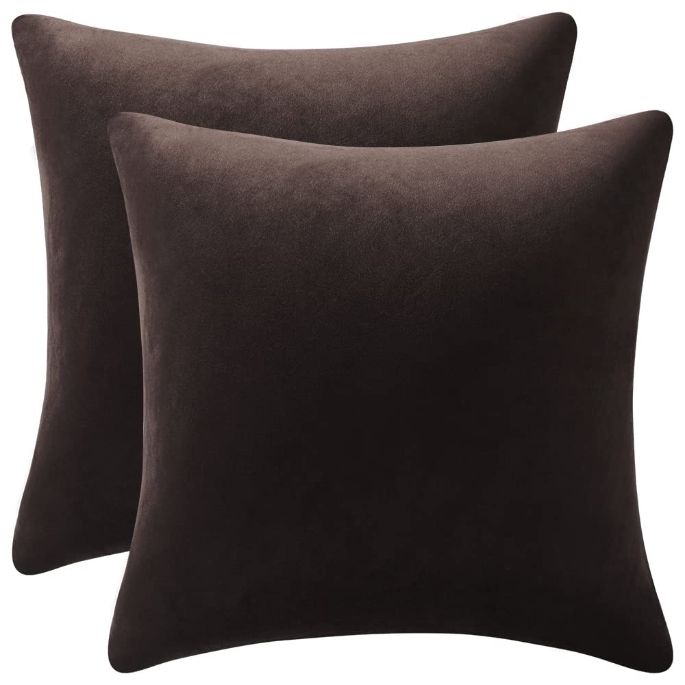 Dezene Decorative Pillow Cases 18X18 Chocolate Brown: 2 Pack Cozy Soft Velvet Square Throw Pillow Covers For Farmhouse Home Deco
