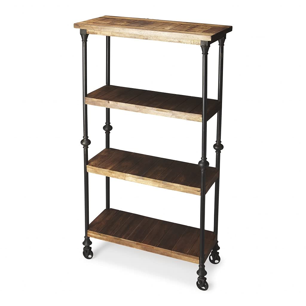 HomeRoots Multi-Color Mango Wood Solids, Iron Fontainebleau Industrial Chic Bookcase