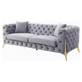 Acme Jelanea Velvet Tufted Upholstery Sofa with 2 Pillows in Gray and Gold