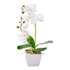 Restaurantware Faux Fiore White Orchid - White Pot - Faux Plants - 13.4'''' - 1Ct Box