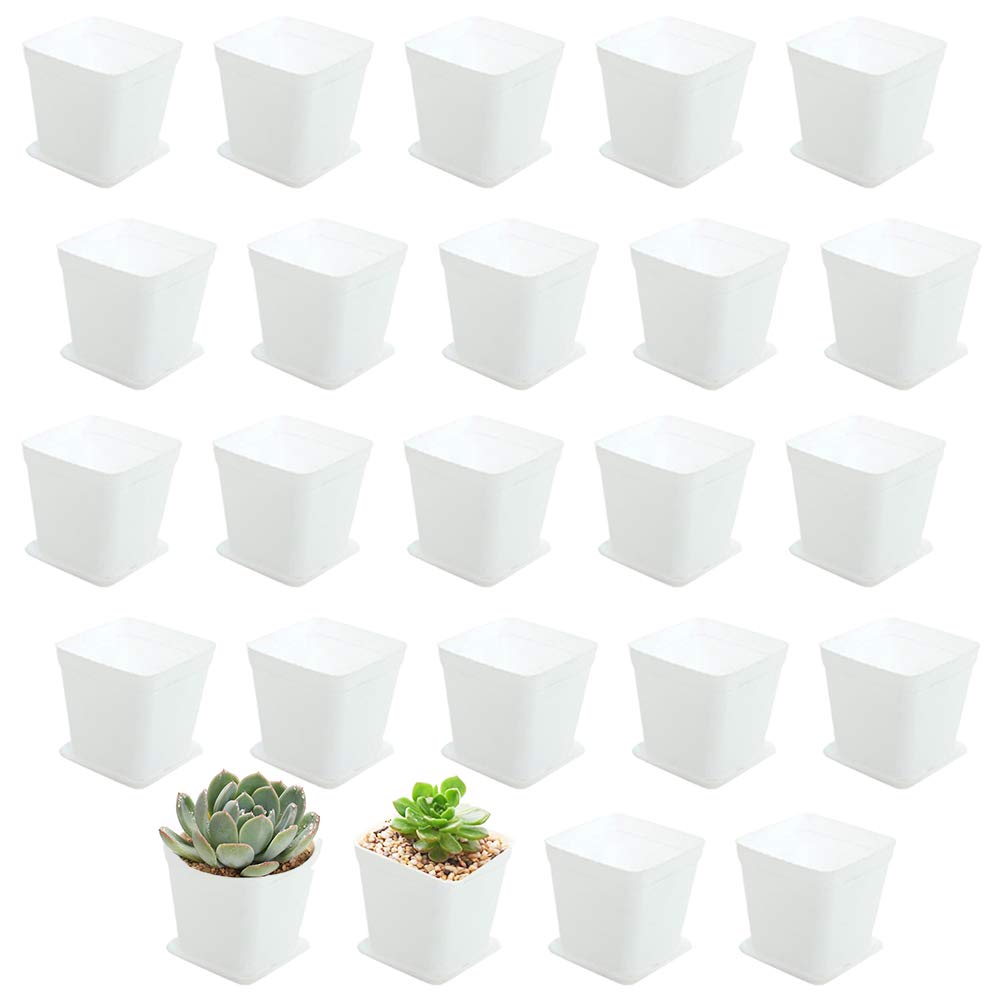 Ojyudd 3Inch White Square Plastic Pots With Saucer, Drainage Hole, 24 Pcs, For Flower/Plant, Home,Company,Office And Garden(Whit