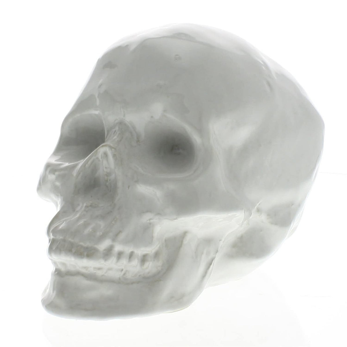 HomeRoots White Ceramic Skull Sculpture