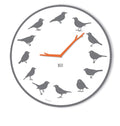 KOOKOO UltraFlat Grey, 12 Genuine Field Recordings from Native Songbirds