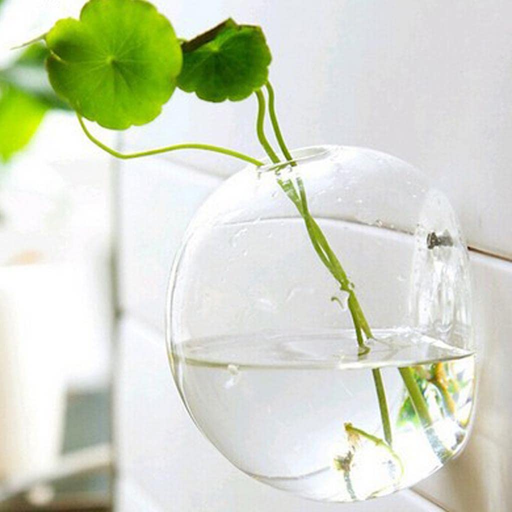 Zoomella Wall Hanging Planter Glass Hydroponic Vase Plant Pot Terrarium Ball 15Cm|Baskets, Pots & Window Boxes|Home & Garden