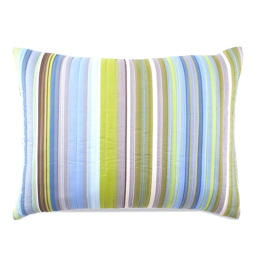 Aidan Stripe Quilts or Shams  Blue Sham