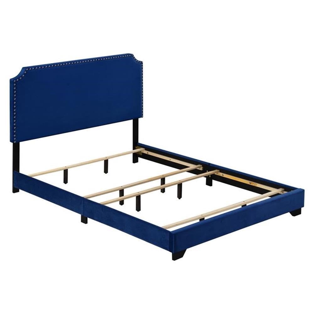 Acme Haemon Fabric Upholstered Queen Bed with Nailhead Trim in Blue