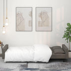 vidaXL Elegant 2-Seater Sleeper Sofa Bed with Pillows - Convertible Velvet Loveseat - Dark Gray - Ideal for Home, Office, Small Spaces