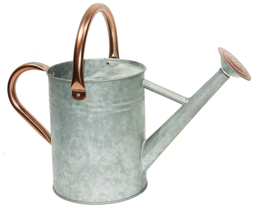 Yourjoy Metal Watering Can, One Gallon Watering Cans Stainless Steel For Outdoor Indoor Garden Plants Watering (Zinc 1 Gallon)