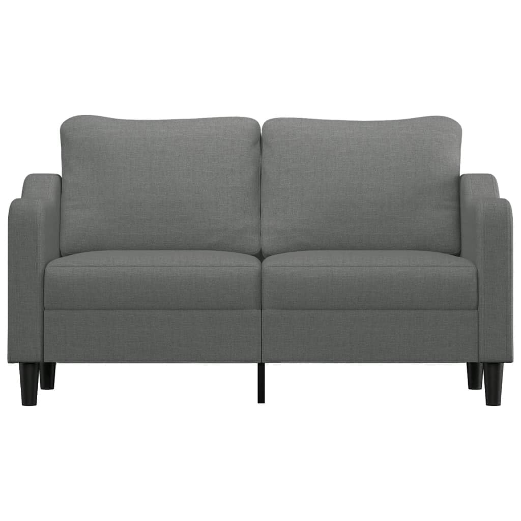 vidaXL 2-Seater Sofa in Dark Gray Fabric and Metal, Comfortably Padded, Chic Modern Design, Living Room or Office Furniture