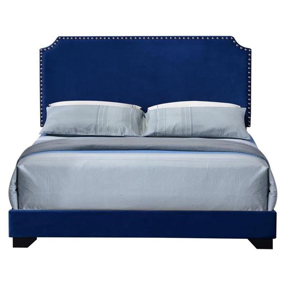 Acme Haemon Fabric Upholstered Queen Bed with Nailhead Trim in Blue