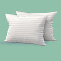 Trendy Home 12X20 Throw Pillow Insert (Pack Of 2, White), Bed And Couch Pillows Stuffer Hypoallergenic, Lumbar Support Decorativ