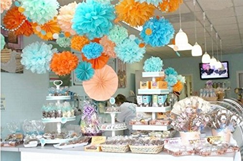 Life Glow 12Pcs Pom Poms Of 10'' 12'' 14'' Multi-Colors Tissue Paper Craft Pom Poms Kit Tissue Paper Flowers Wedding Decorations