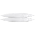 Extra Thin Flat Soft Low Pillows Queen Size Set of 2, Down Alternative Filled Bed Pillows for Side Back and Stomach Sleepers 20x